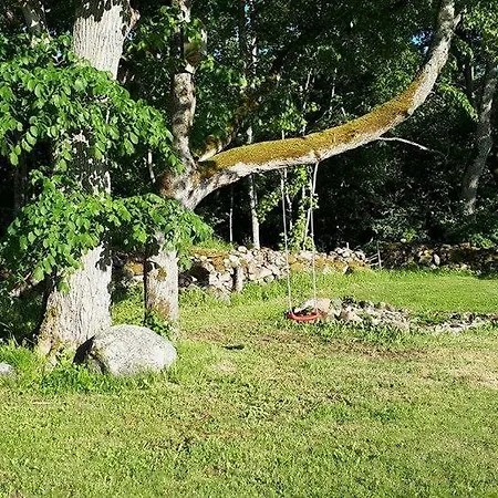 Mardi Saun * Suuremoisa (Saaremaa)